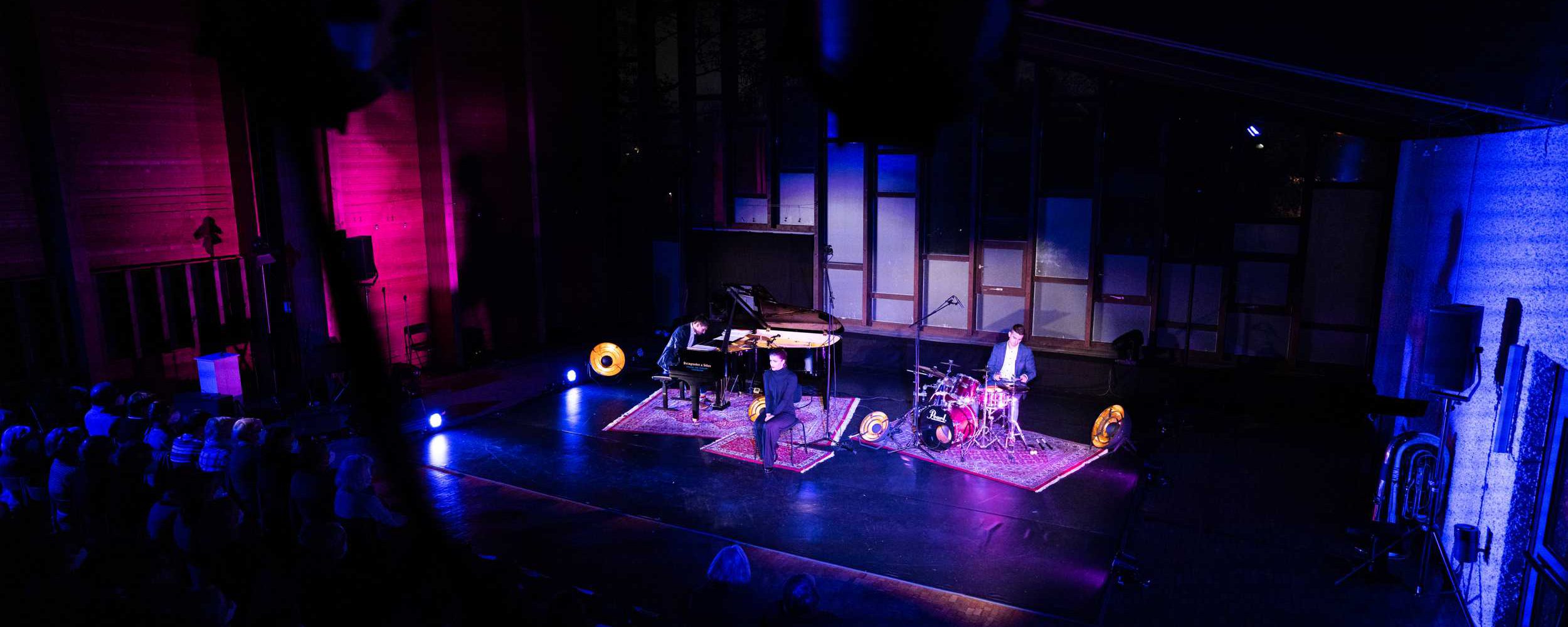 Sprecherin-Konzert-Buehne-2